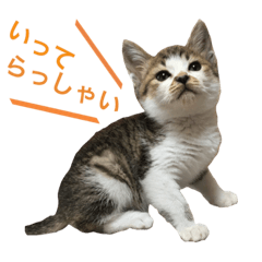 [LINEスタンプ] くぅちゃんと愉快な仲間たち