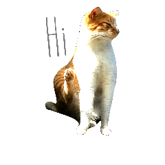 [LINEスタンプ] cat's paradise