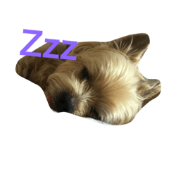 [LINEスタンプ] かふぇのきもち