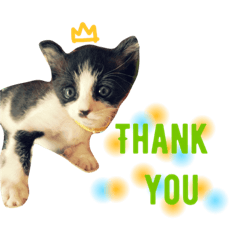 [LINEスタンプ] ハマ猫2
