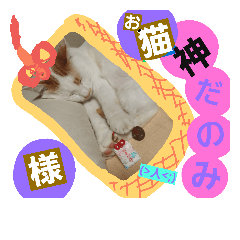 [LINEスタンプ] ルイの日常にゃん♪