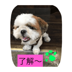 [LINEスタンプ] ココにゃんとボニー