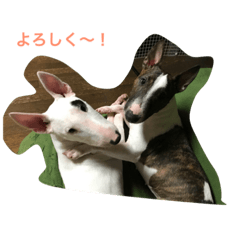 [LINEスタンプ] ブルテリー