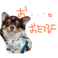 [LINEスタンプ] まめとお友達