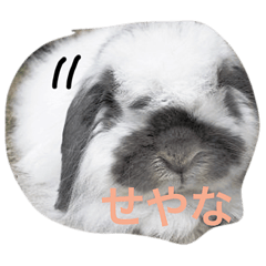 [LINEスタンプ] 関西弁うさぎ、リッチ。①