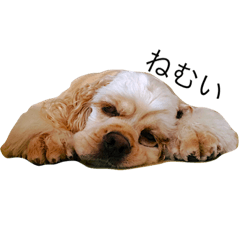 [LINEスタンプ] アメコカとボーダー