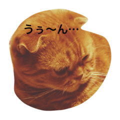 [LINEスタンプ] 凛のきもち 24