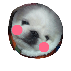 [LINEスタンプ] ペキニーズの「のびたくん」