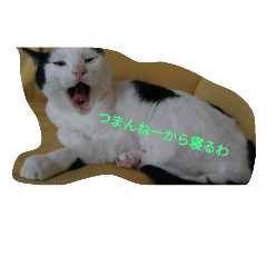 [LINEスタンプ] Poisonous tongue cat.