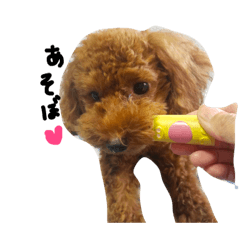 [LINEスタンプ] ぴぴたん