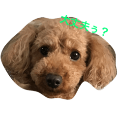 [LINEスタンプ] ぷっぷのつぶやき
