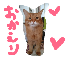 [LINEスタンプ] catdoog