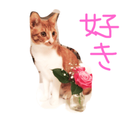 [LINEスタンプ] もんのすけ君