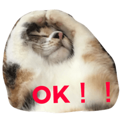 [LINEスタンプ] むぎスタ