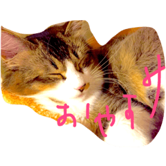 [LINEスタンプ] himeda
