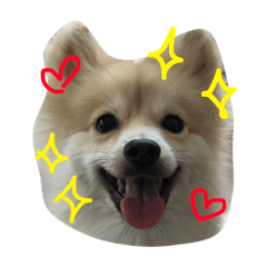 [LINEスタンプ] 俺はレオの画像（メイン）