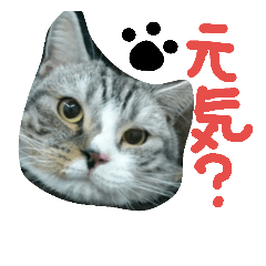 [LINEスタンプ] 龍馬だよパート③