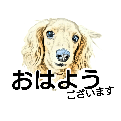 [LINEスタンプ] ダックス犬 スケッチ風 でか文字 