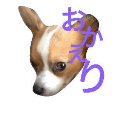 [LINEスタンプ] pete's life 