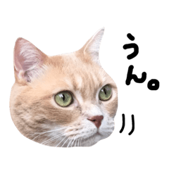 [LINEスタンプ] みすけとリちゃん 