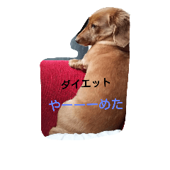[LINEスタンプ] ロゼの一日 