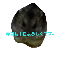[LINEスタンプ] ムックです 