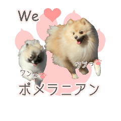 [LINEスタンプ] ポメラニアンず