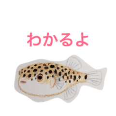 [LINEスタンプ] 海の生き物 生活
