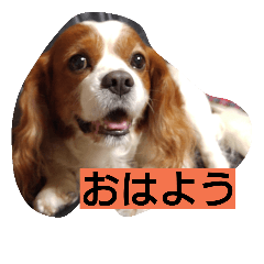 [LINEスタンプ] 朝だぜ❗の画像（メイン）