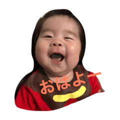 [LINEスタンプ] とらじっこ