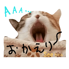 [LINEスタンプ] 猫のSeeちゃん3