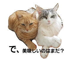 [LINEスタンプ] もふねこみるくと茶とらのチロル