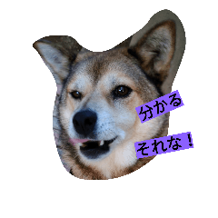 [LINEスタンプ] 関西弁のテツ＆エース