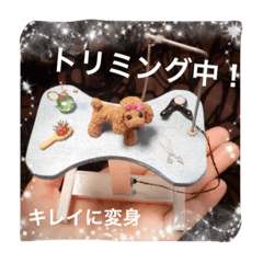 [LINEスタンプ] 指先ワンコ(○○中！)