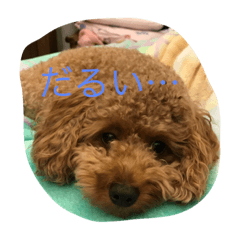 [LINEスタンプ] Cutie  Amber