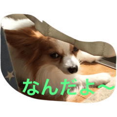 [LINEスタンプ] Rikus stamp