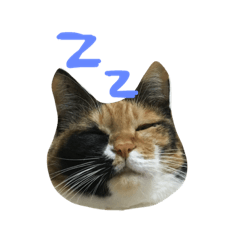 [LINEスタンプ] まあにゃん。