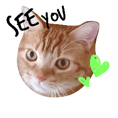 [LINEスタンプ] ito-chan-