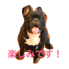 [LINEスタンプ] 心が震える可愛さのボブ