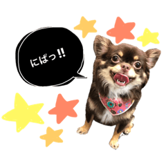 [LINEスタンプ] roizu