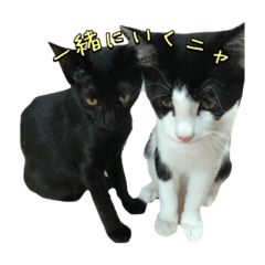 [LINEスタンプ] みっく＆むぎ 1 