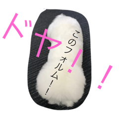 [LINEスタンプ] ビションフリーゼのトッティ2 
