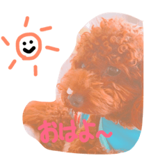 [LINEスタンプ] レオですよ