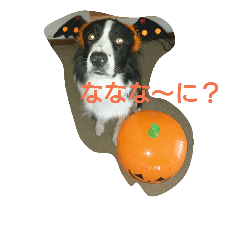 [LINEスタンプ] albatoasobo 