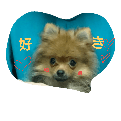 [LINEスタンプ] 颯太だよ☆ 