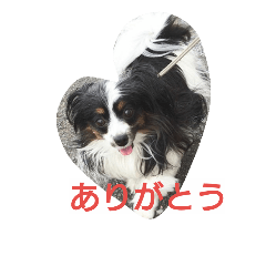 [LINEスタンプ] パピヨンのリロ