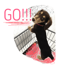 [LINEスタンプ] 、、ここ 、、