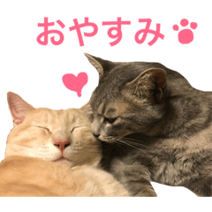 [LINEスタンプ] がぶ＆テト 2