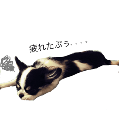 [LINEスタンプ] ぷぅだいすたんぷ
