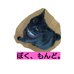 [LINEスタンプ] もんどくん